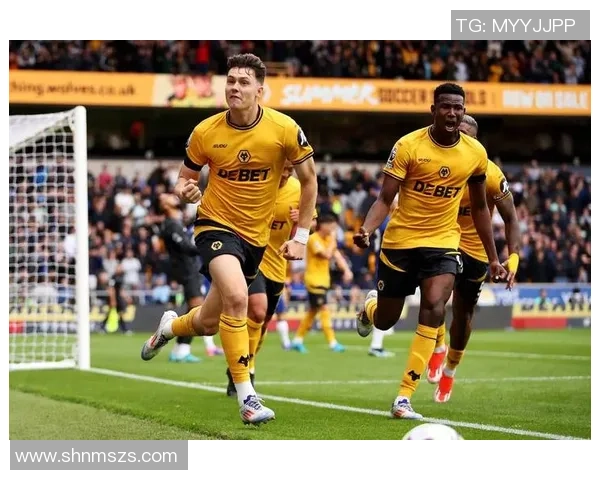 维拉对阵狼队最新战况分析及双方球员表现点评