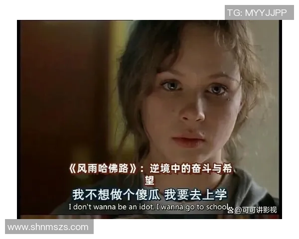 谢什科的传奇旅程：从平凡到卓越的奋斗故事与启示